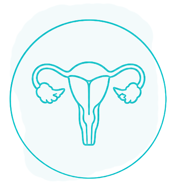 Uterus icon representing pap smear cervical screening