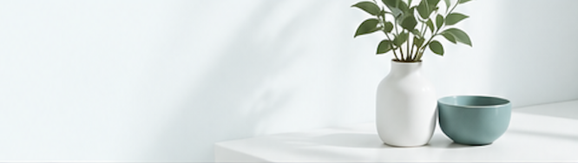 Calm modern clinic environment with plant and minimal decor at Altheda Medical Center